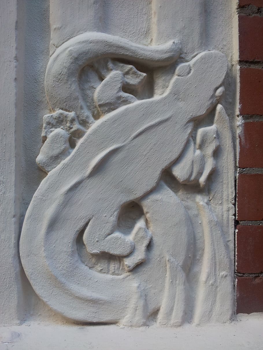 lizard, stucco, wall, detail, facade, texture, structure, pattern HD wallpaper