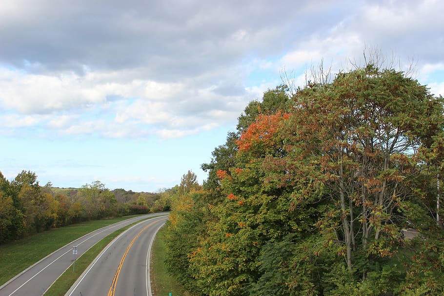 road, sky, trees, clouds, open road, travel, nature, rural HD wallpaper