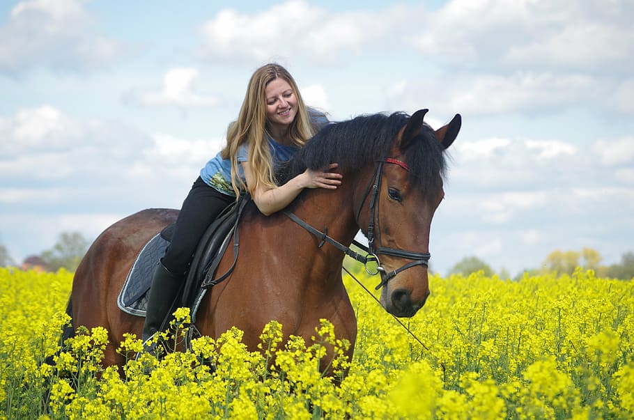 woman riding horse on flower field, ride, brown, equestrian, women's power, HD wallpaper