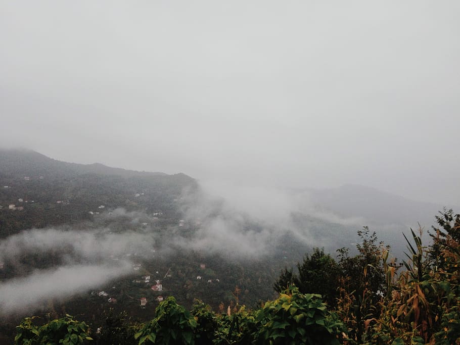 mountain range photography, nature, fog, mist, tree, forest, scenics HD wallpaper