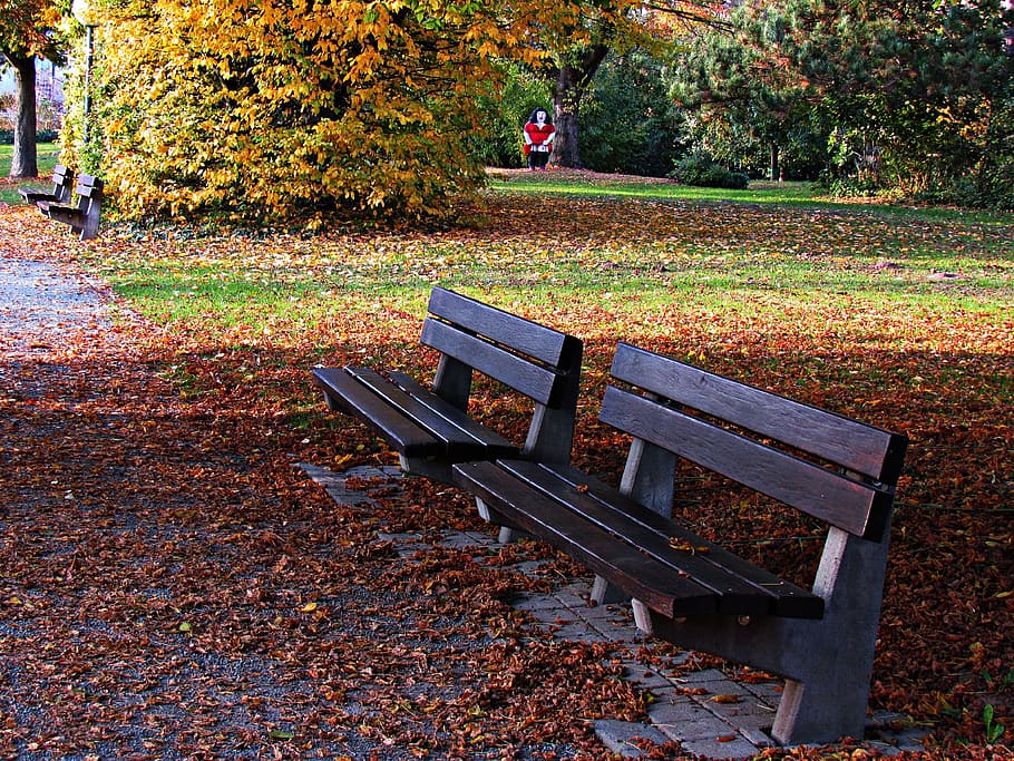 bench, park, foliage, spacer, rest, tree, leaf, autumn, seat, HD wallpaper