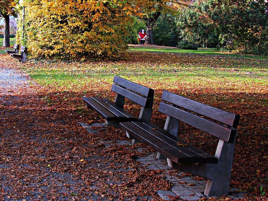 bench, park, foliage, spacer, rest, tree, leaf, autumn, seat HD wallpaper