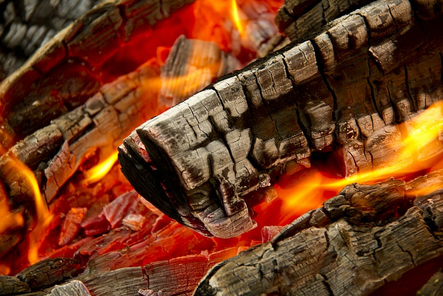 close view of bonfire, burning wood close up photography, coal HD wallpaper