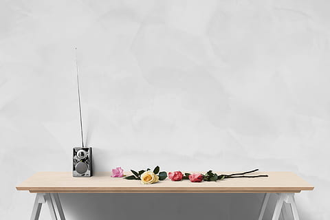 rose flowers on table, poster, wall, mockup, interior, 3d, rendering HD wallpaper