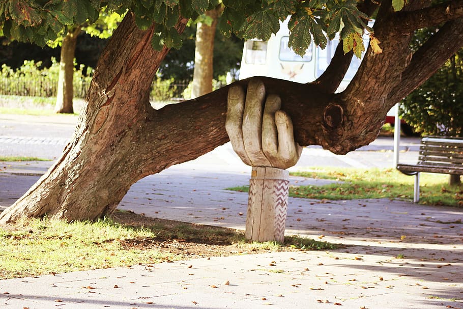 brown tree, brown bare tree, sculpture, trunk, hold, support HD wallpaper
