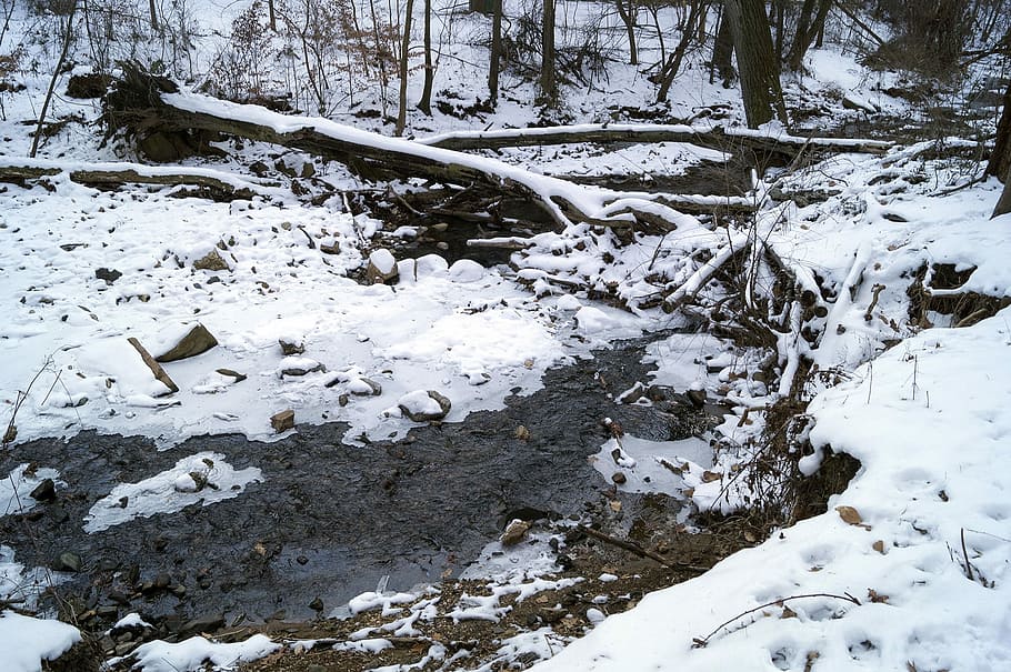 Snow, Park, Trees, Baltimore, waverly park, creek, ice, winter HD wallpaper