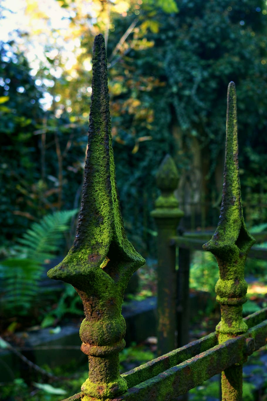 Fence, Nature, Plants, Cemetery, green, material, green color HD wallpaper