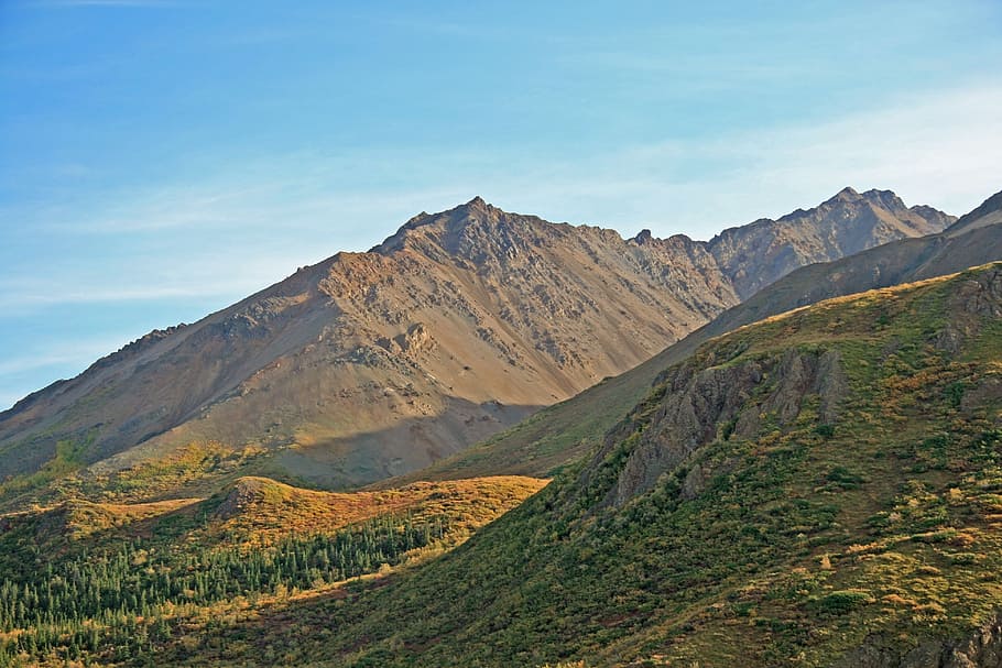 Alaska, Mountains, Forest, Woods, Trees, wilderness mountain HD wallpaper