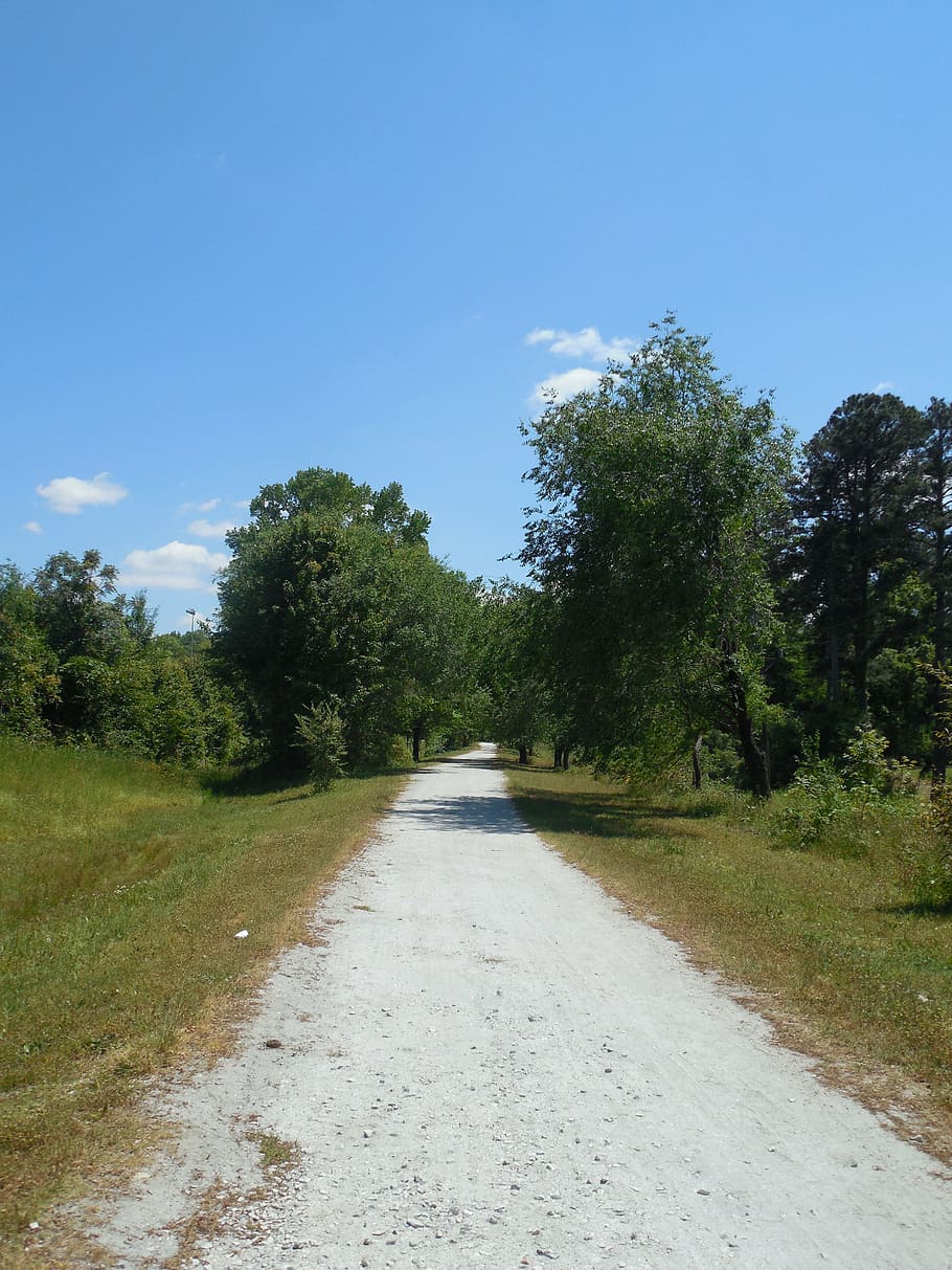 walking path, hike, hiking, adventure, travel, lifestyle, trail HD wallpaper