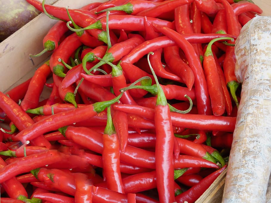 pepperoni, red, sharp, paprika, fruity hot, vegetables, food HD wallpaper