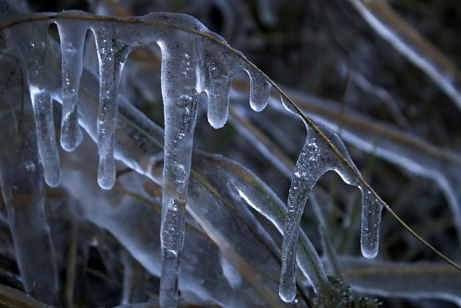 Ice, Nature, Cold, cold temperature, winter, frozen, icicle HD wallpaper