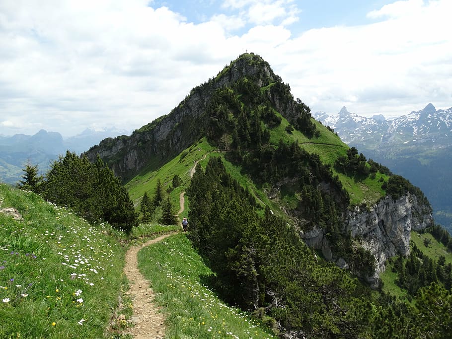 summit, mountain world, mountain trail, foresight, hill, beauty in nature HD wallpaper
