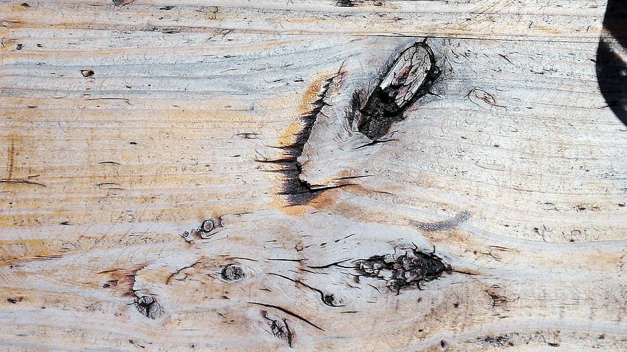 wood, grain, structure, pattern, weathered, knothole, texture HD wallpaper