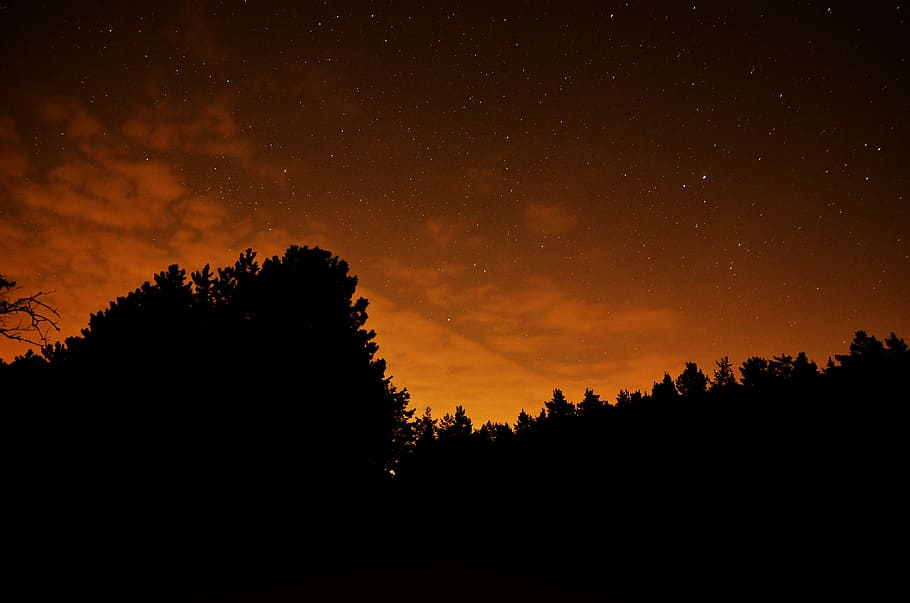 Starry Sky, Astrology, Night, Space, night sky, silhouette HD wallpaper