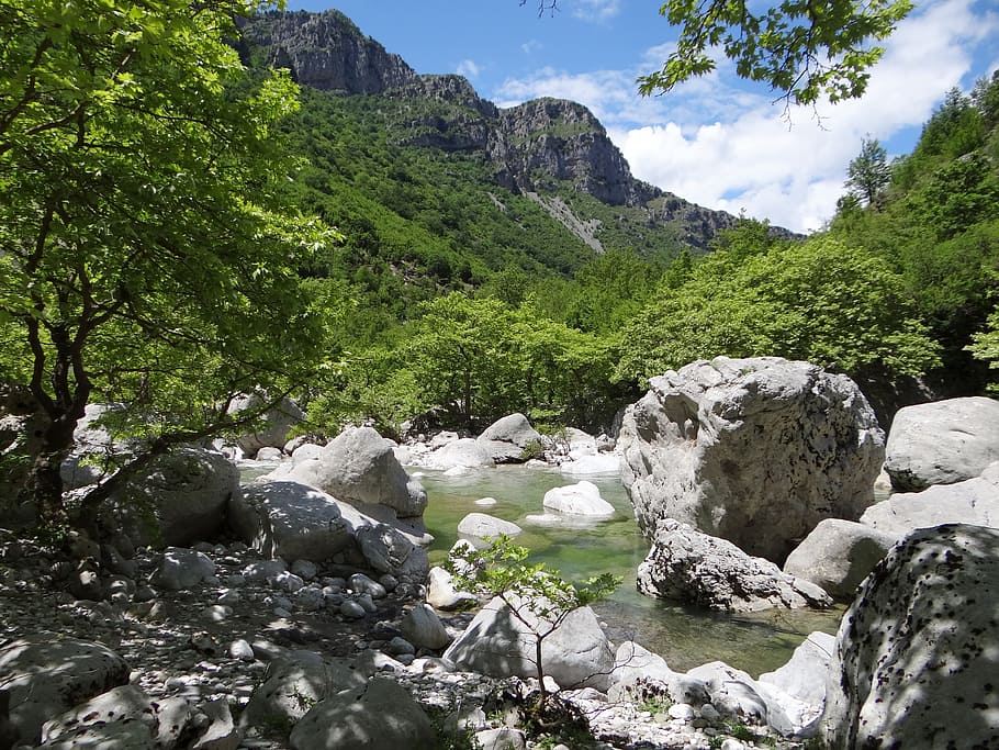 vikos gorge, greece, epirus, pindus, hiking, tree, plant, rock HD wallpaper