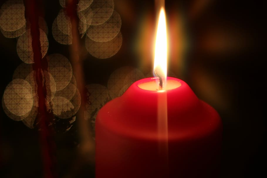 Xmas, Candle, Red, Light, Christmas, celebration, decoration HD wallpaper