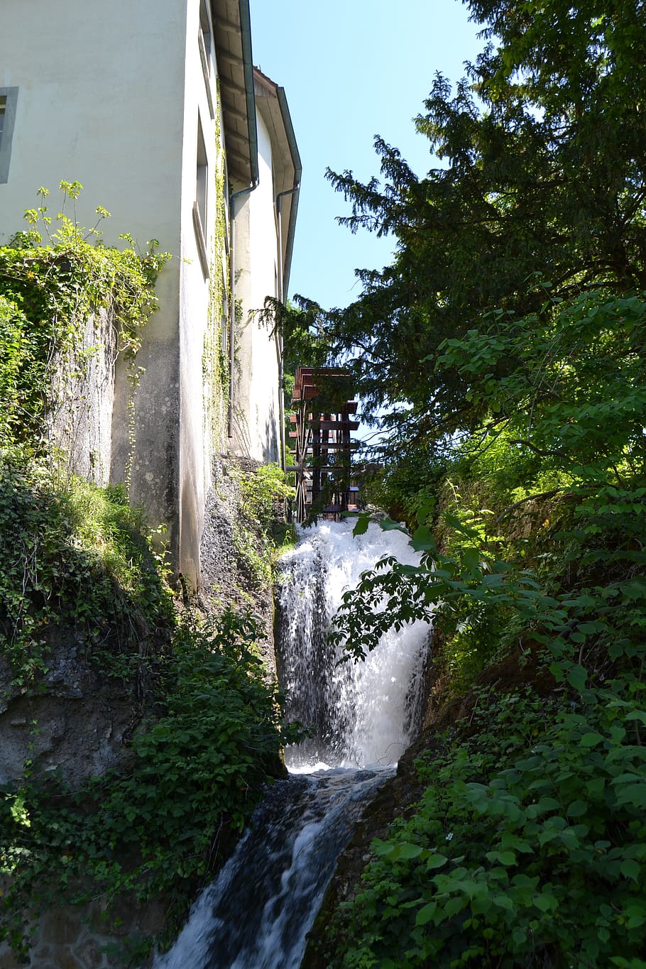 schaffhausen switzerland, watermill, summer, nature, flow, outdoor, HD wallpaper