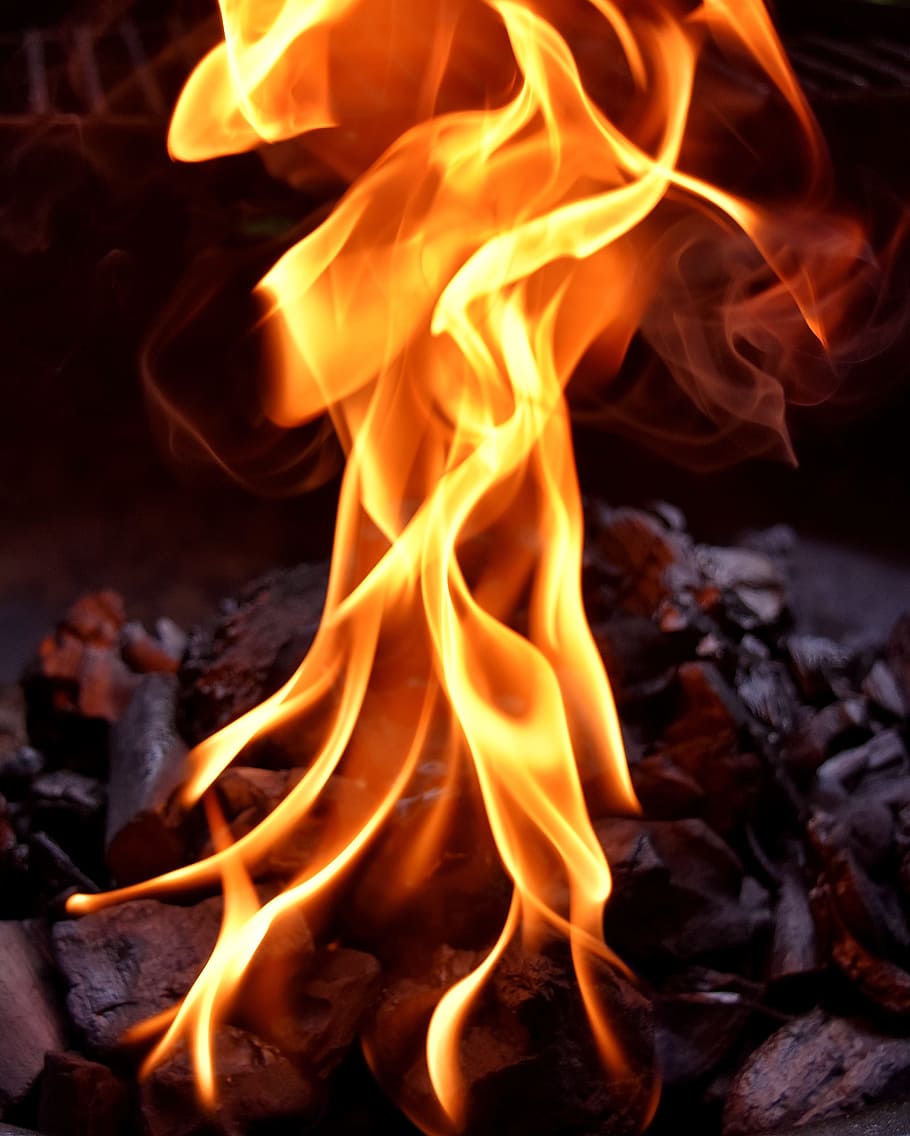 close-up photo of fire burning, flame, carbon, mood, campfire HD wallpaper