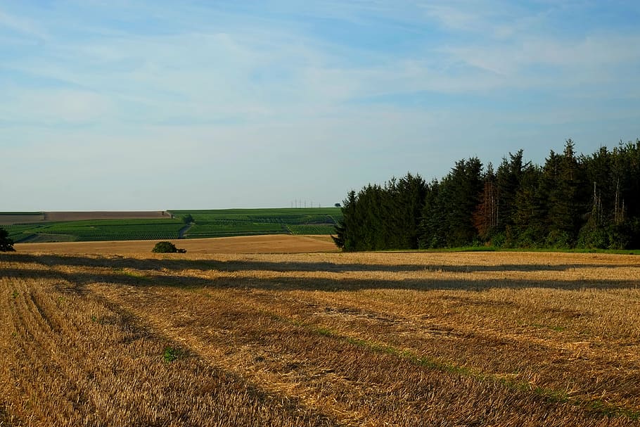 field, landscape, nature, fields, arable, germany, agriculture HD wallpaper