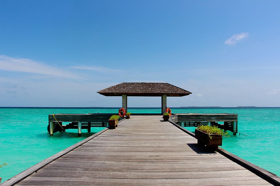 brown wooden dock under blue sky, web, sea, holiday, boardwalk HD wallpaper