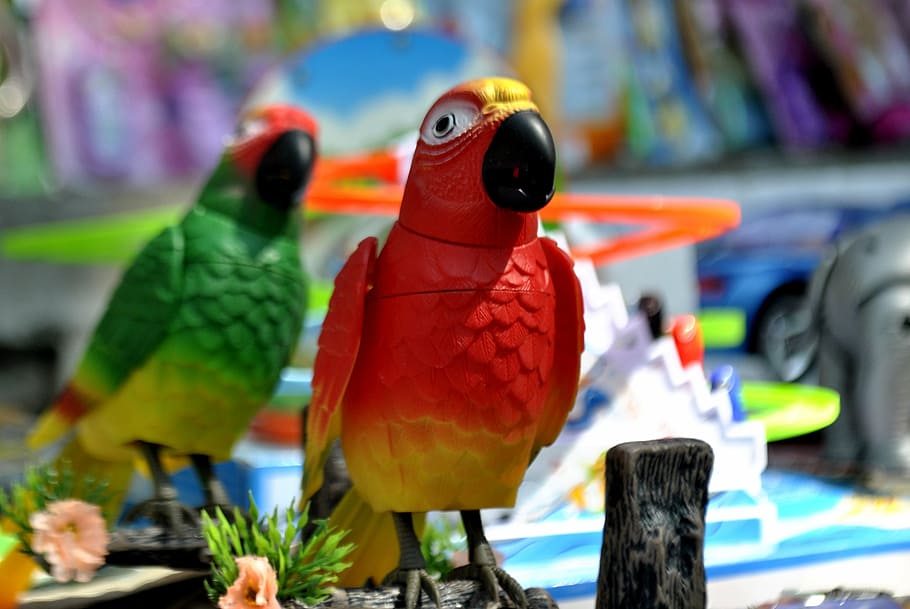 parrots, toys, plastic, artificial, color, animal, bird, vertebrate HD wallpaper