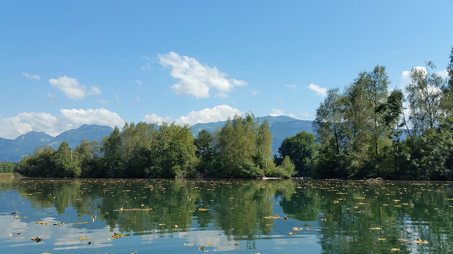 river, nature, water, reflection, tree, sky, lake, plant, beauty in nature HD wallpaper