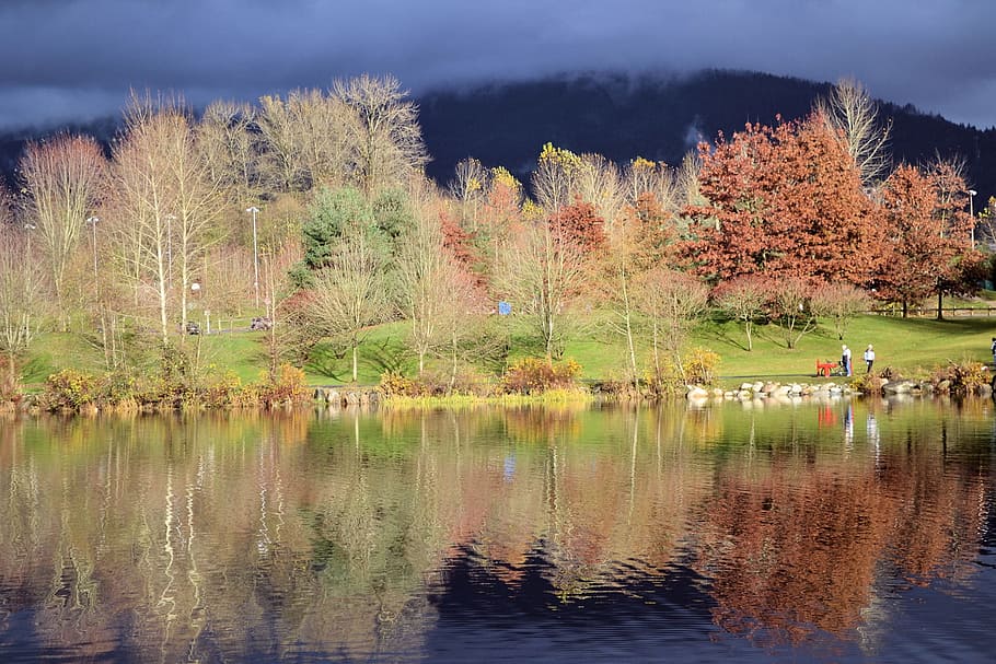Lake, Coquitlam, Canada, Landscape, wilderness, scenery, natural HD wallpaper