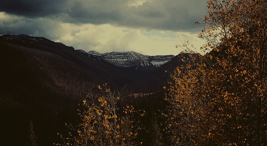 brown rocky mountain behind yellow and green leaves tree, nature HD wallpaper