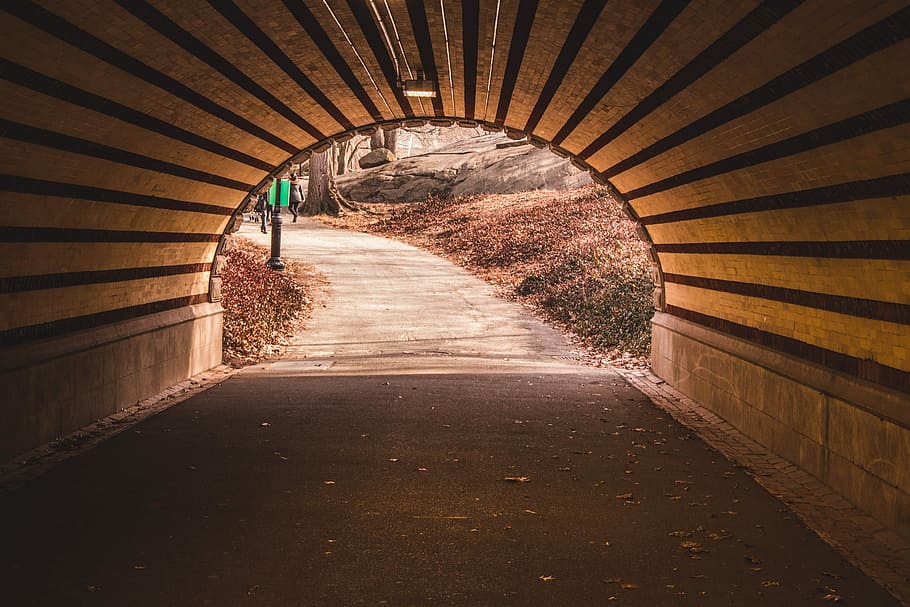 Tunnel, empty tunnel, arch, bridge, path, pavement, the way forward HD wallpaper