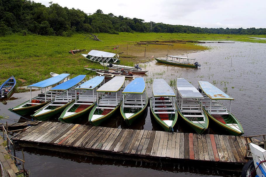 Boats, Amazon, River, Brazil, Water, rainy, nautical Vessel, HD wallpaper