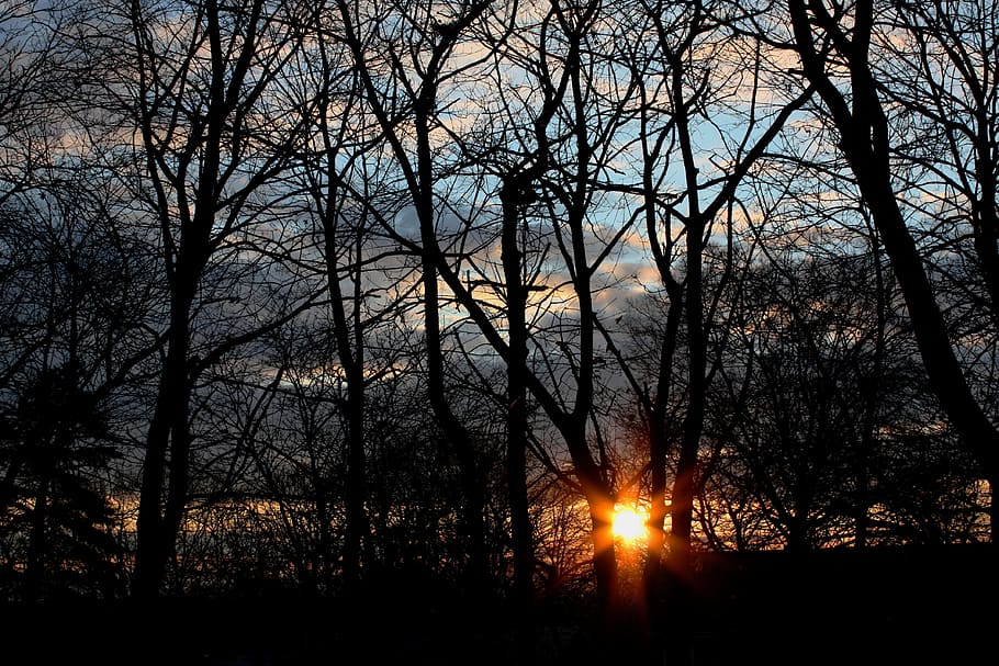 sunset, fall, nature, autumn, landscape, forest, outdoor, tree HD wallpaper