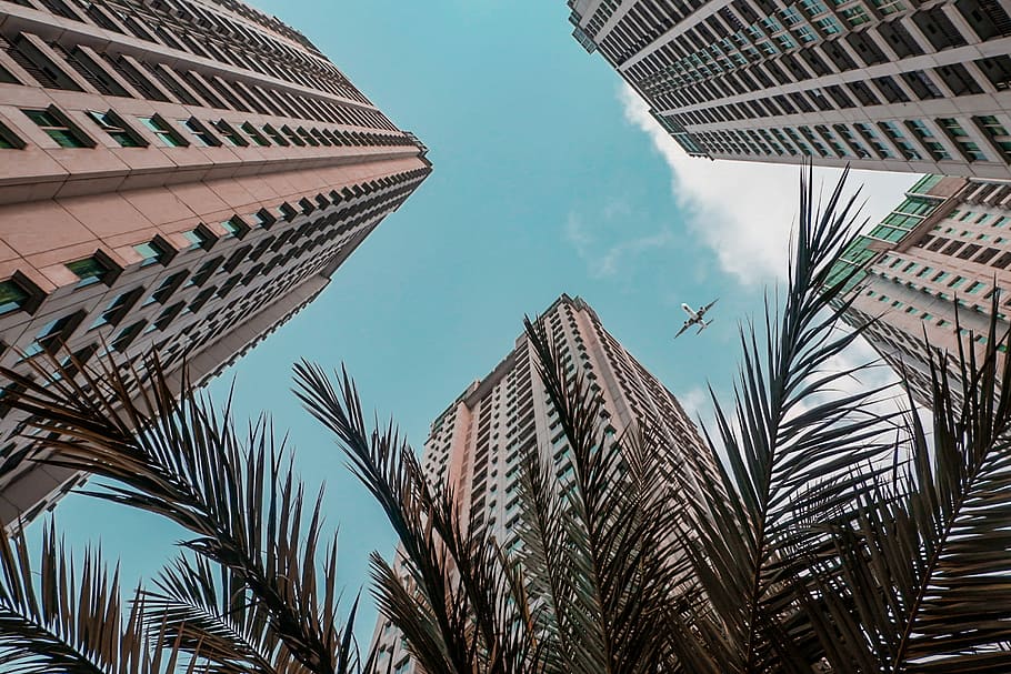 worm's view of commercial buildings and airplane, worms eye view of building and palm trees HD wallpaper