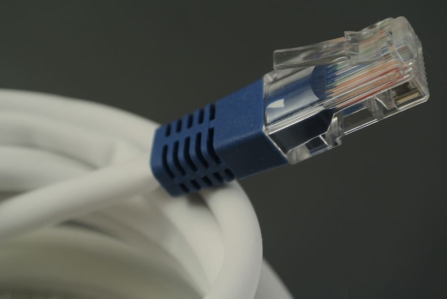 blue and white ethernet cable, network, plug, network connection plug, HD wallpaper