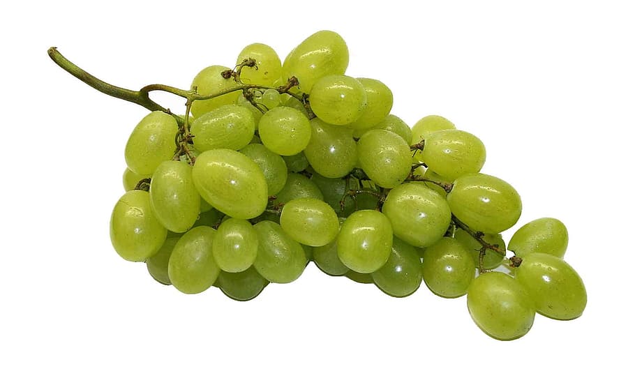 green grapes, table grapes, fruit, healthy, food, eat, edible HD wallpaper