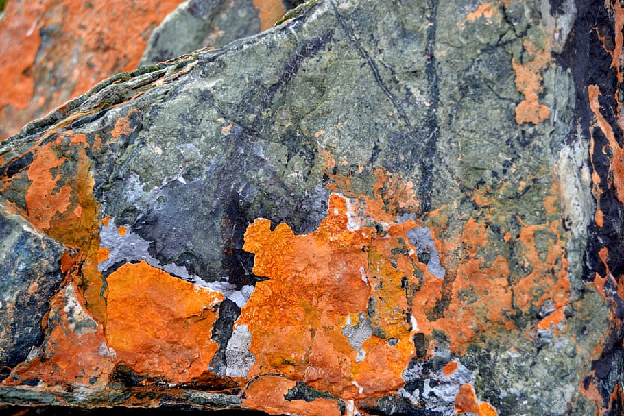 kennedy, stone, nature, texture, background, the stones are HD wallpaper