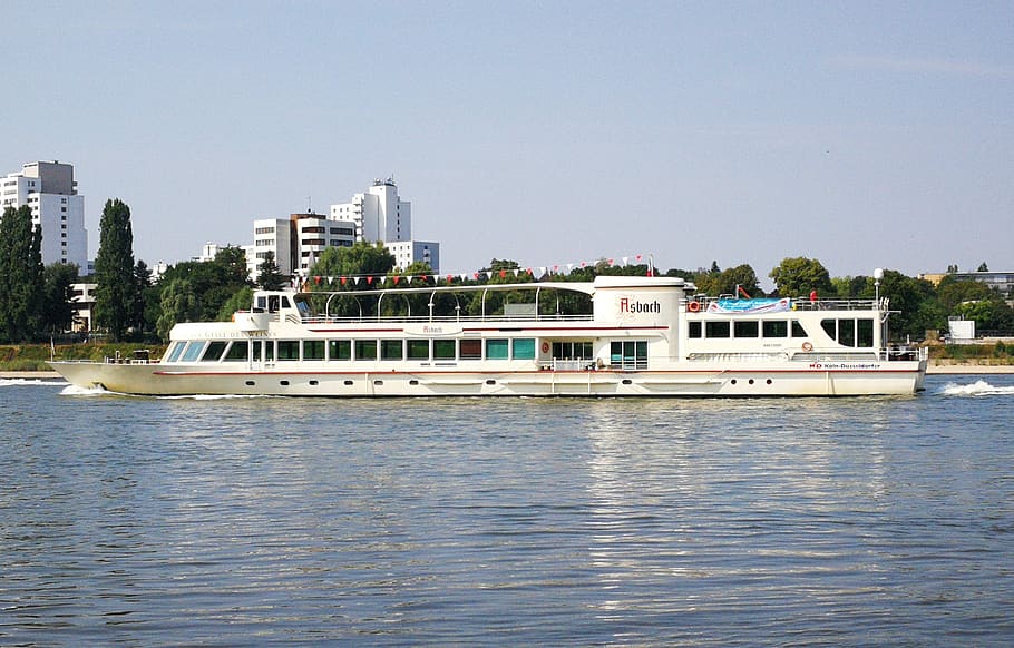 rhine, river, waters, excursion steamer, shipping, nautical vessel HD wallpaper
