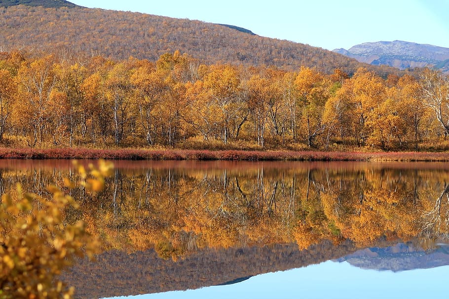 autumn, lake, mountains, reflection, forest, golden autumn HD wallpaper