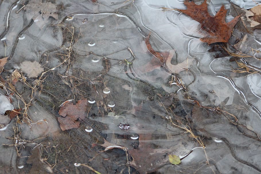 Ice, Stream, Creek, Season, White, brook, outdoor, winter, full frame HD wallpaper