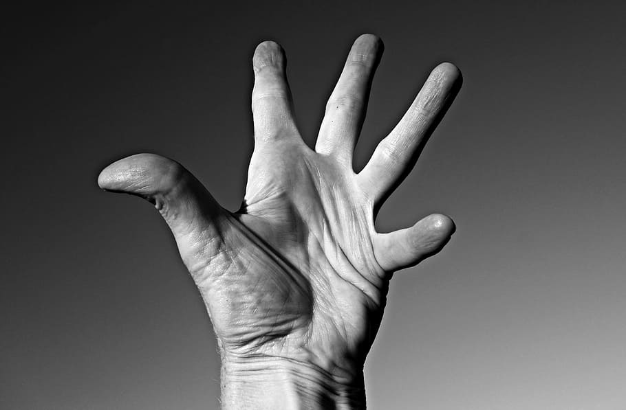 grayscale photography of left human hand, Palm, Fingers, Thumb, HD wallpaper