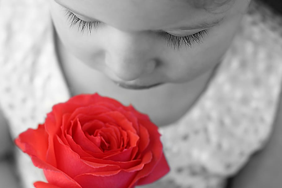 selective color photo of girl smelling rose, child, flower HD wallpaper
