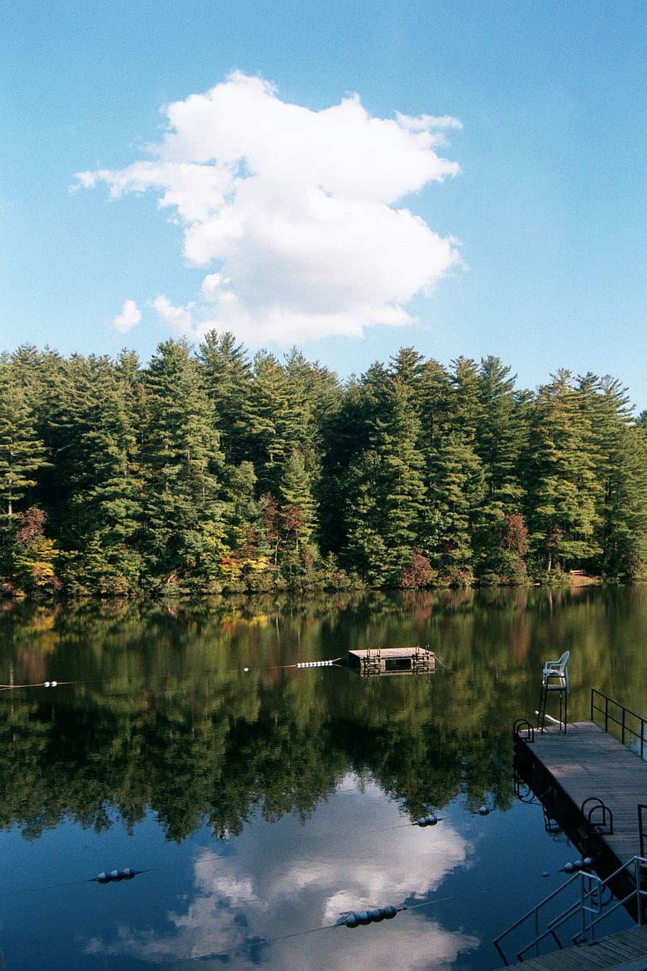 reflection, lake, clouds, forest, trees, sky, nature, blue HD wallpaper