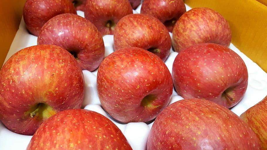 apple, fruit, red apple, healthy eating, food and drink, wellbeing HD wallpaper