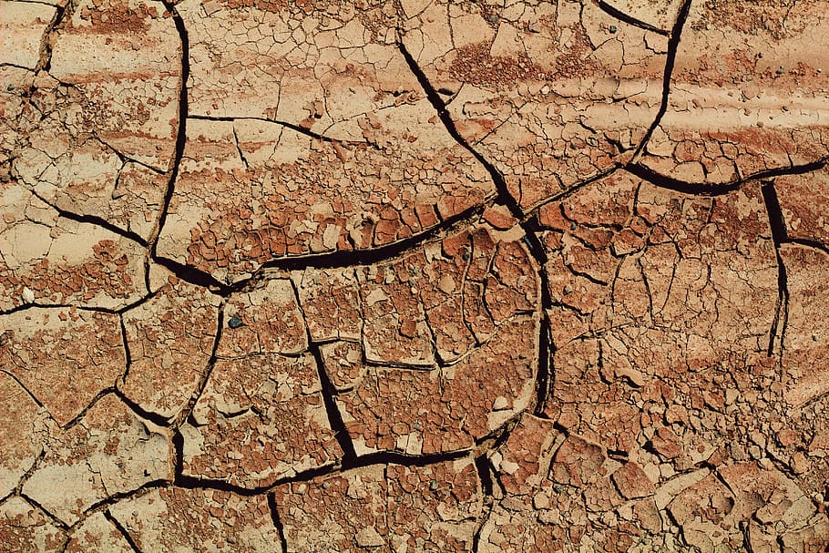 bird's eye view photo of soil, closeup photo of dried mud, cracked HD wallpaper