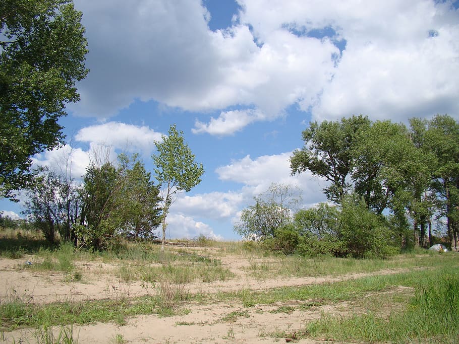 Slope, Trees, Bushes, Upgrade, sandy, the bushes, tent, sky HD wallpaper