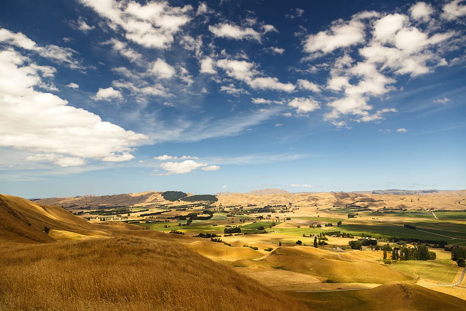 blue sky above grass field, countryside, meadows, fields, agriculture HD wallpaper