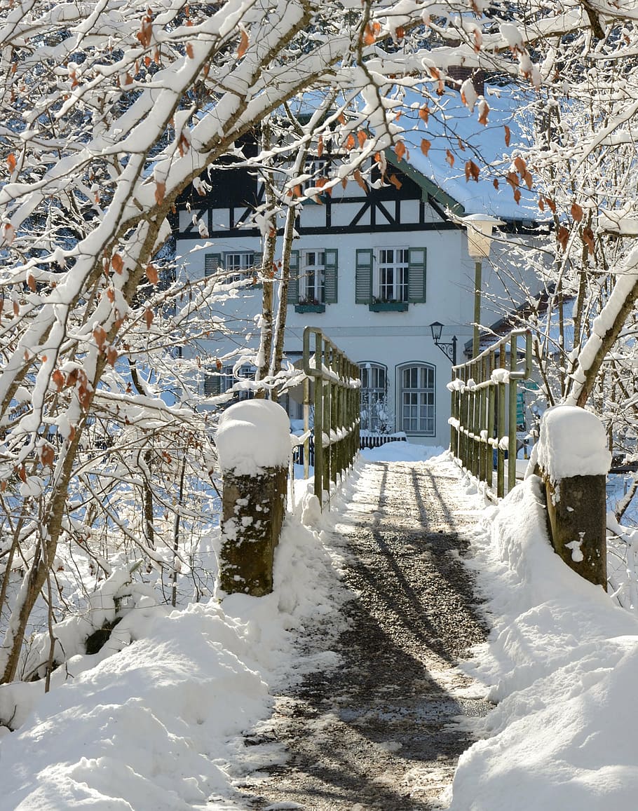 winter, snow, away, bridge, winter mood, nature, wintry, snowy HD wallpaper