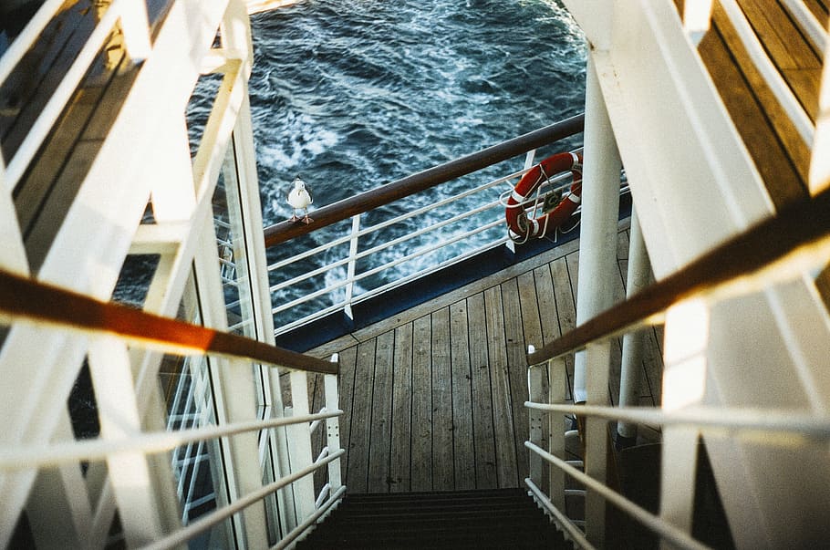 white bird perching on railing of ship, upper, deck, sea, vessel HD wallpaper