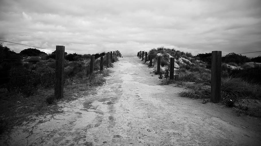 grayscale photo of partway, path, trail, beach, road, hike HD wallpaper