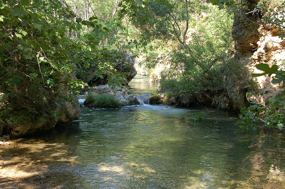 nature, water, spring, river, tree, forest, landscape, outdoor HD wallpaper