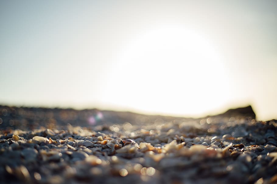 sunset, sunny, beach, sand, rocks, coast, shore, macro, pebbles, HD wallpaper